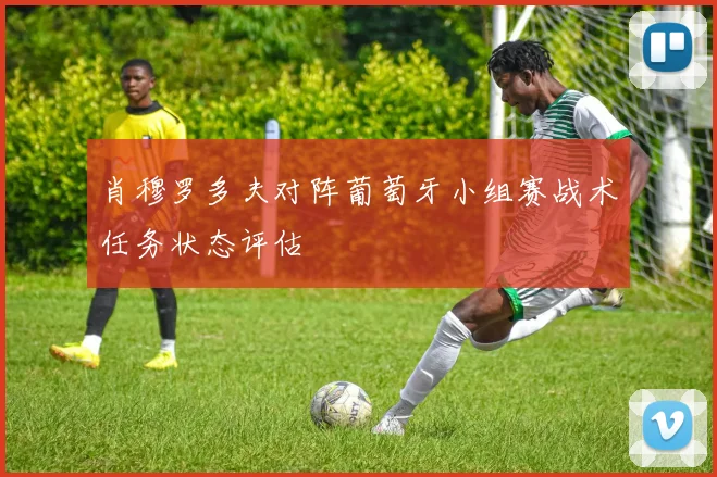肖穆罗多夫对阵葡萄牙小组赛战术任务状态评估