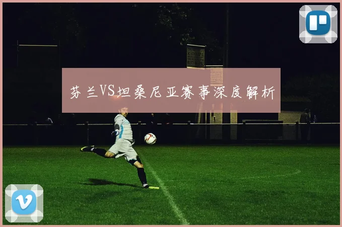 芬兰VS坦桑尼亚赛事深度解析