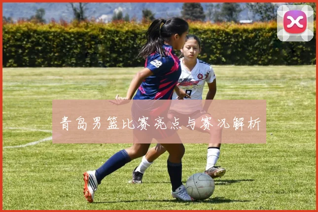 青岛男篮比赛亮点与赛况解析