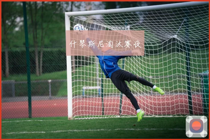 什琴斯尼淘汰赛夜