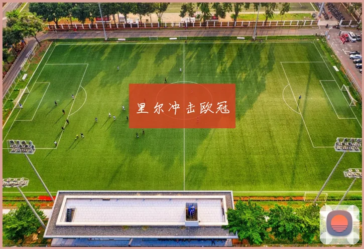 里尔冲击欧冠