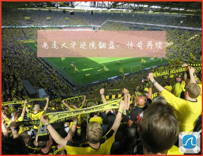 老虎大学逆境翻盘，传奇再续