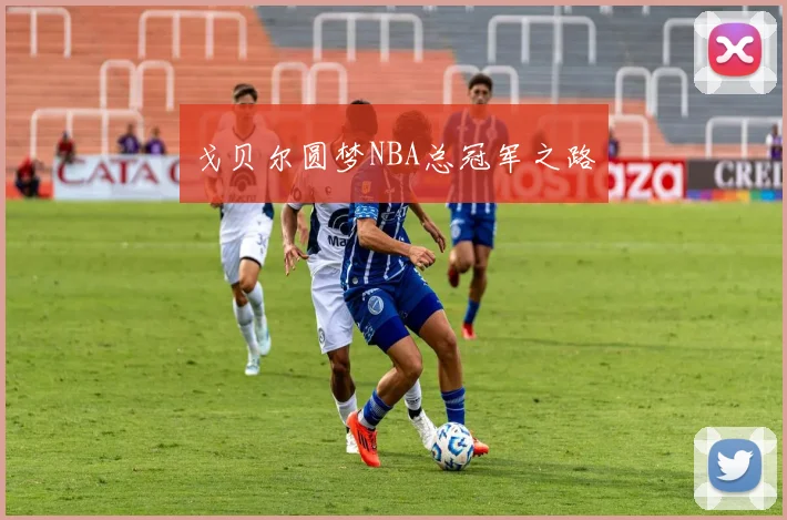 戈贝尔圆梦NBA总冠军之路