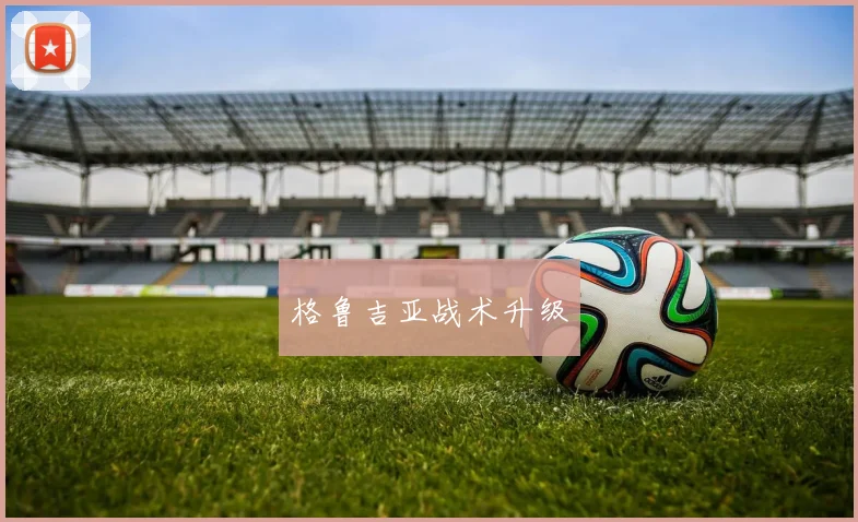 格鲁吉亚战术升级