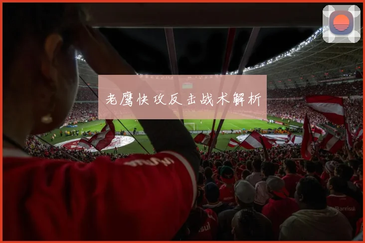 老鹰快攻反击战术解析