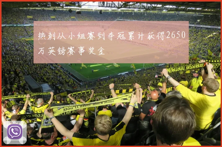 热刺从小组赛到夺冠累计获得2650万英镑赛事奖金