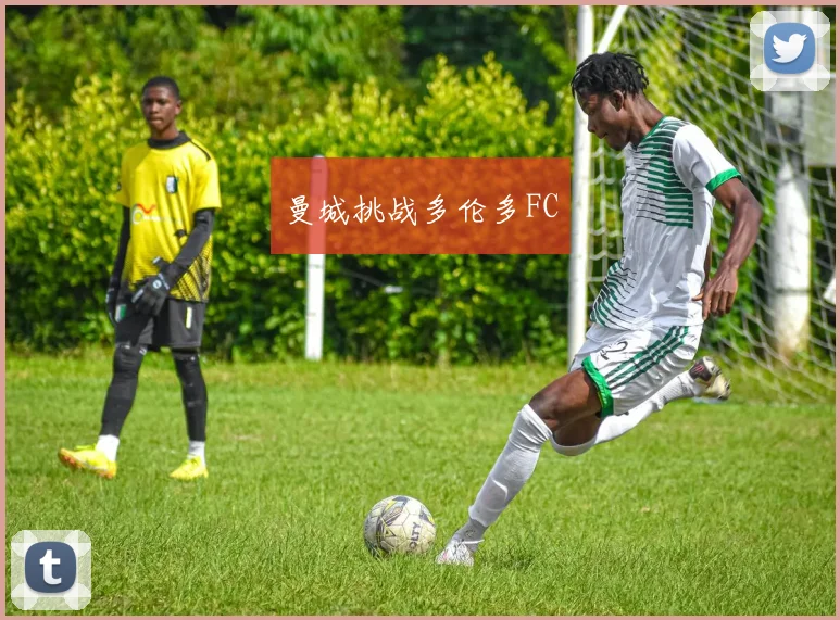 曼城挑战多伦多FC