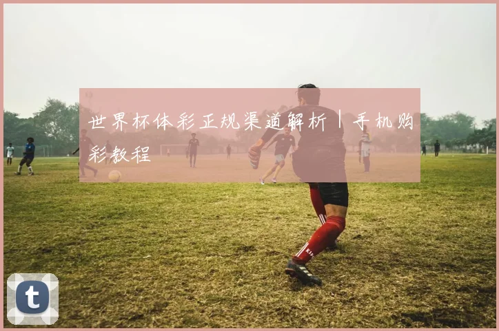 世界杯体彩正规渠道解析｜手机购彩教程