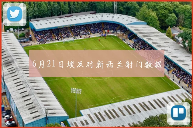 6月21日埃及对新西兰射门数据