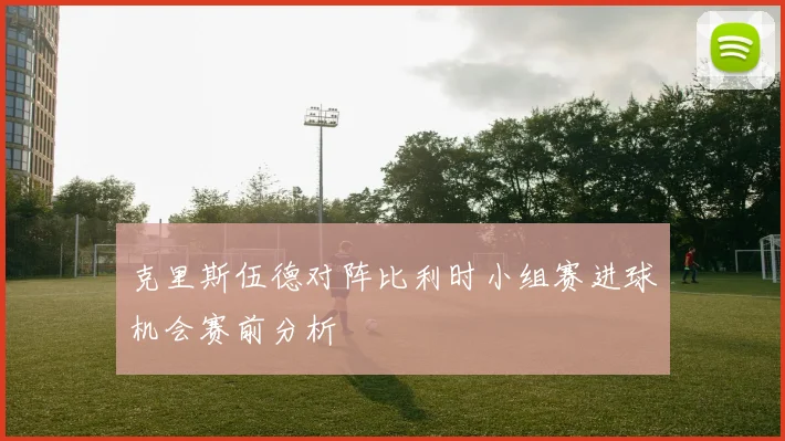 克里斯伍德对阵比利时小组赛进球机会赛前分析